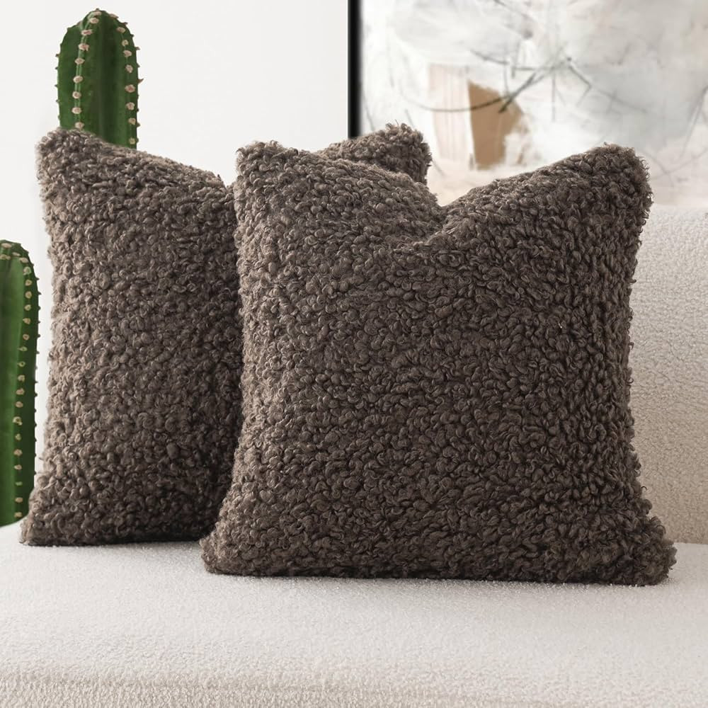 Foindtower 2 Pieces Teddy Faux Fur Throw Pillow Cover Decorative Sherpa Pillow Fuzzy Accent Pillo... | Amazon (US)