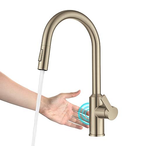 KRAUS Oletto Touchless Sensor Pull-Down Single Handle Kitchen Faucet in Spot-Free Antique Champag... | Amazon (US)