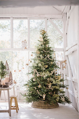 Terrain Artificial Pre-Lit Norway Spruce | Anthropologie (US)
