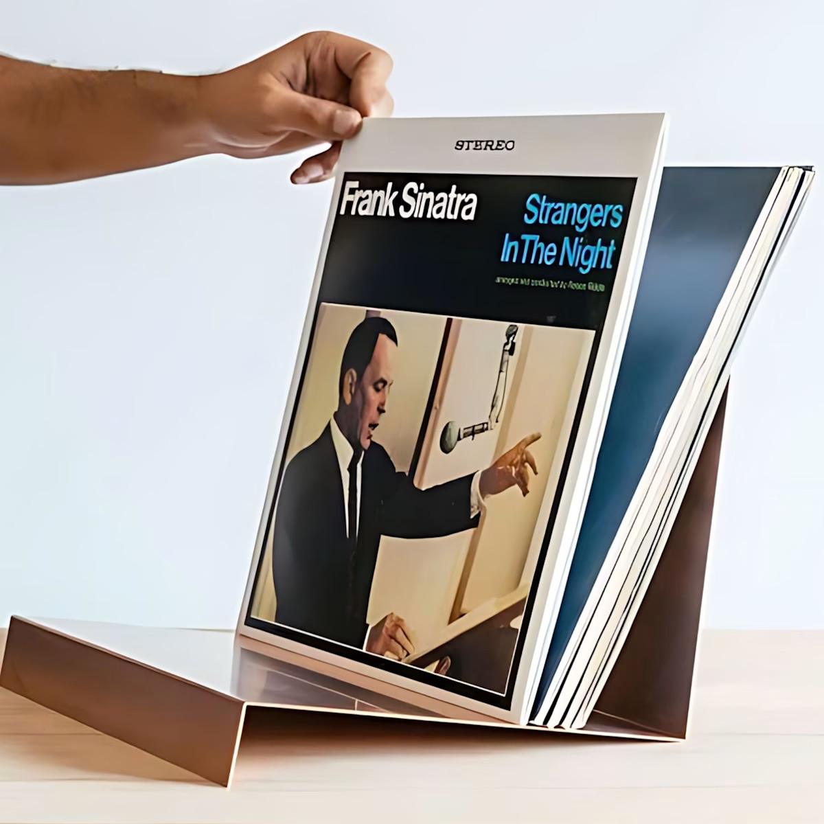 Solid Copper Vinyl Record Stand | Wolf & Badger