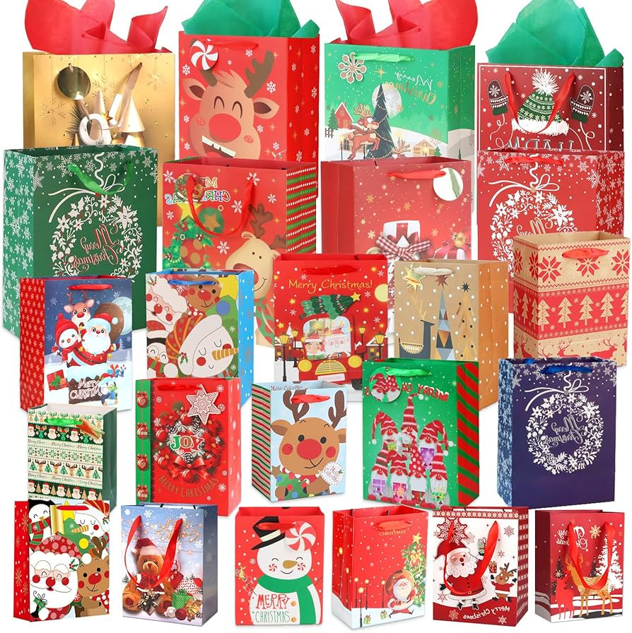 pigipigi 24 Pack Christmas Gift Bags: Christmas Bags Bulk with Tissue Paper Assorted Size Clearan... | Amazon (US)