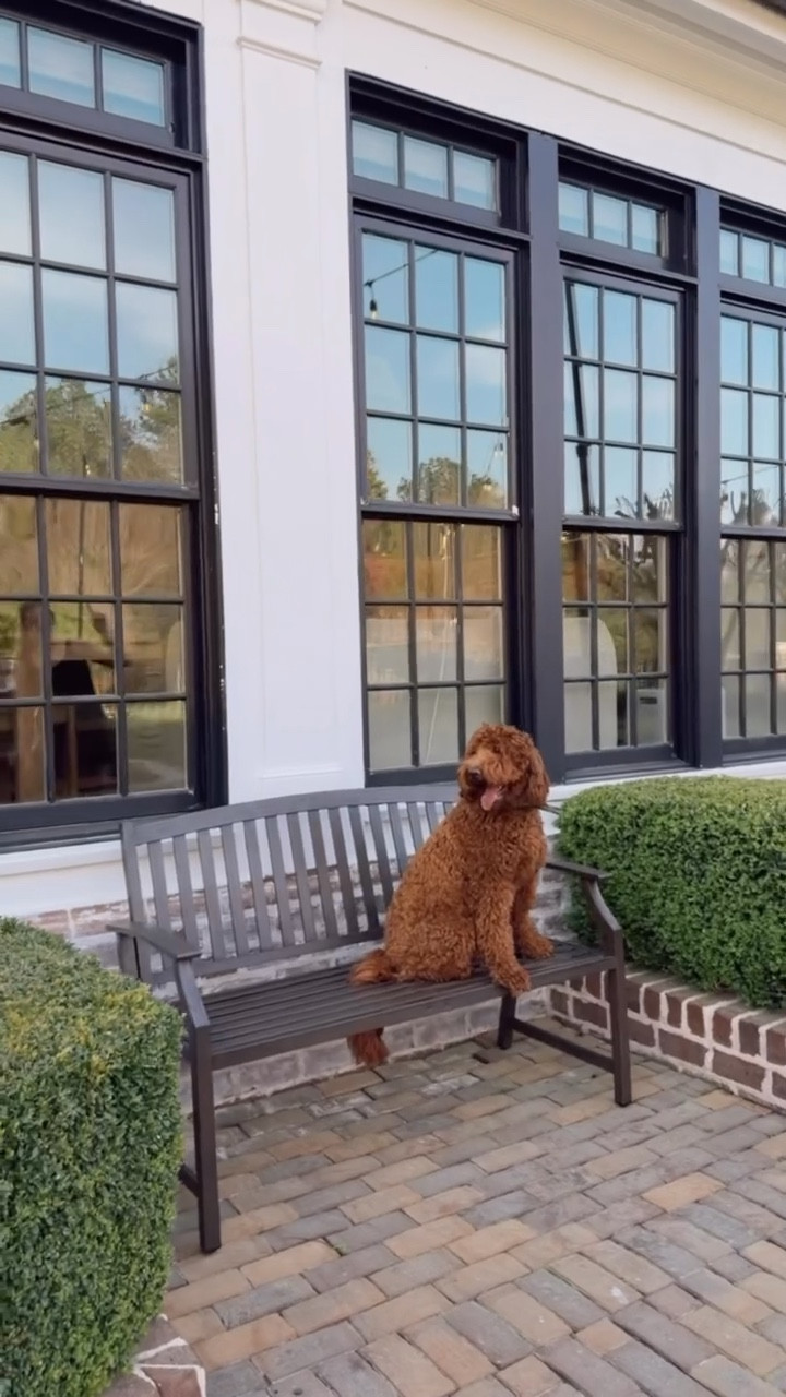 Able is clearly loving our new bench from @Wayfair ! 🤣 

Loverly Grey, outdoor patio, outdoor furniture, outdoor bench, home finds 

#LTKHome #LTKSeasonal