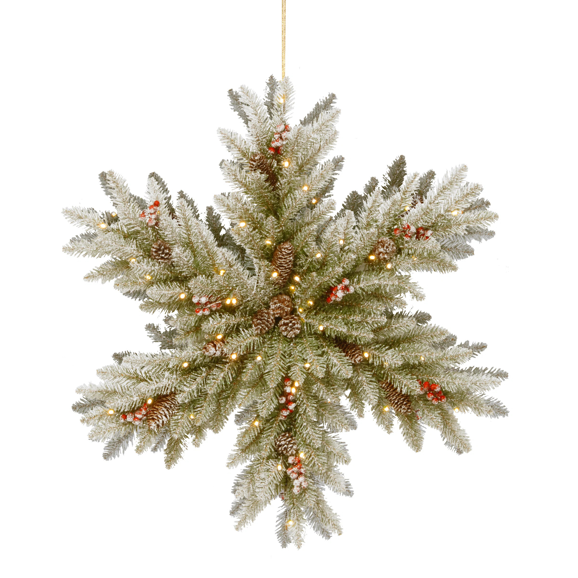 32 in. Dunhill Fir Double-Sided Flocked Snowflake with LED Lights | Wayfair North America