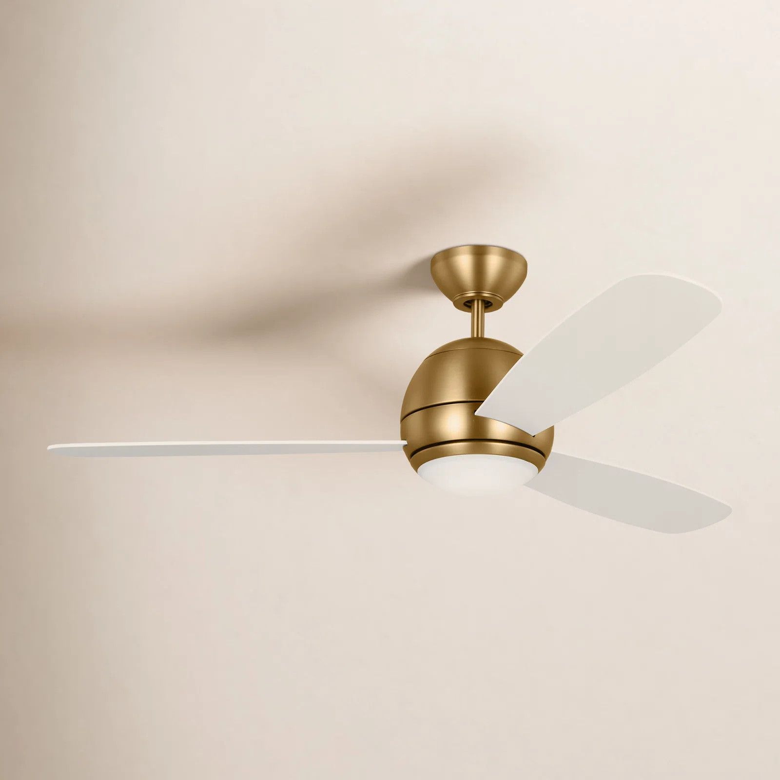 Erina 52'' Ceiling Fan with LED Lights | Wayfair North America