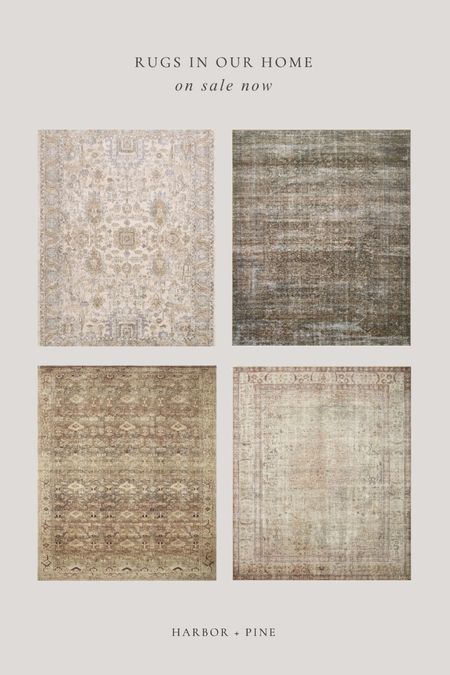 All of the rugs in our house currently on sale! 

#LTKsalealert #LTKhome