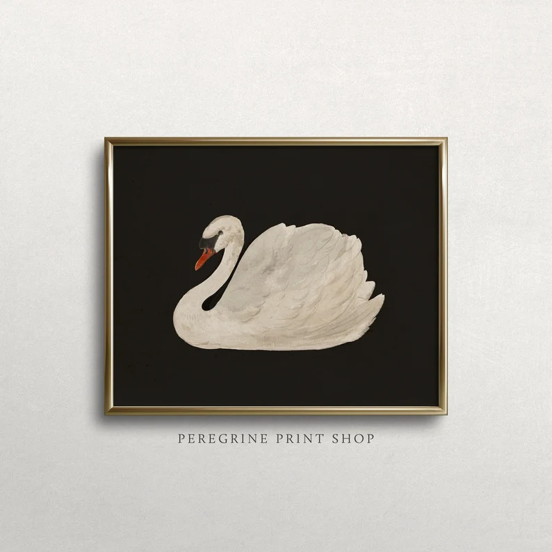 Black Lake Swan Swan Print Moody Wall Art Vintage Kitchen Prints Vintage Kitchen Painting Vintage... | Etsy (US)