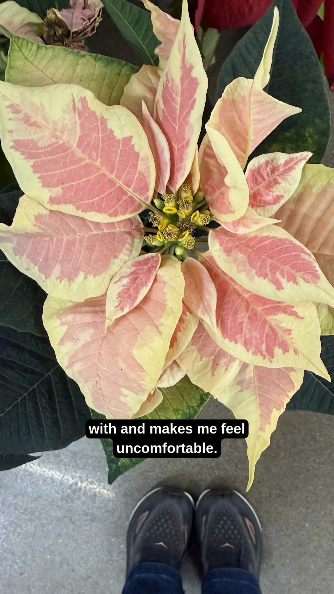 I’ve never done this before...I took two and a half weeks off and actually unplugged.

No working on the flight.
No pushing through burnout.
No pretending rest was “unproductive.”

As a solopreneur mosaic artist, that felt uncomfortable…but also necessary.

This short vlog shares small moments from a Colorado trip that helped me slow down, notice other artists’ work, and listen to my body instead of barreling forward like I usually do.

Maybe a slower start to 2026 isn’t a setback...maybe it’s the reset.

For mosaic tips, tutorials + inspiration please visit my YouTube channel: YouTube.com/julieweilbacher. Follow @julieweilbacher on Instagram for all things mosaic art.

#wintertravel #wintertrip #coloradotrip #coloradotravel #burnout #coloradolife #coloradoliving #fortcollins #miami #familytrip #familytravel

#LTKvlog #LTKTravel #LTKdayinmylife