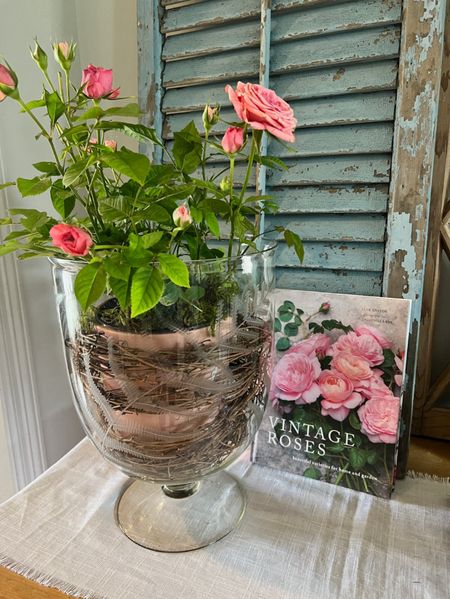This vintage roses book is one of my favorites to style around my home! It looks great stacked with other books, one it's own, or with other decor that goes well with it!

#LTKFind #LTKunder100 #LTKhome