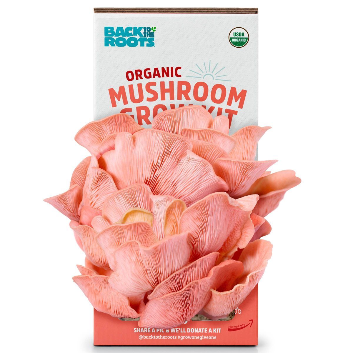 Back to the Roots Organic Mushroom Grow Kit Pink Oyster | Target