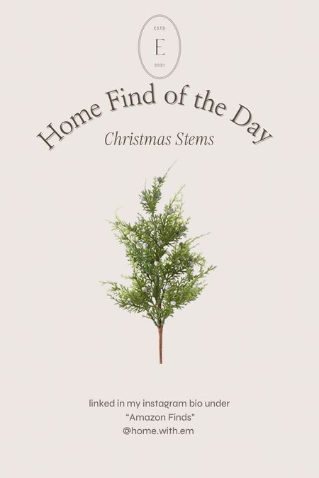 The Home Find of the Day today is this set of 4 cedar stems. I think these would be such a great addition to your holiday gift wrapping. Or any greenery display to add a little dimension.

I always plan out my gift wrapping to go with my Christmas decor! 

Christmas decor, gift wrapping, holiday decor 

#homewithem #homefindoftheday #giftwrapping #giftwrappingideas #christmasgiftwrapping #holidaygiftwrapping #christmasgreenery #christmasdecor #holidaydecor #xmasdecor 

#LTKhome #LTKHoliday #LTKSeasonal