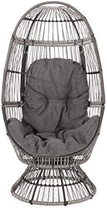 Christopher Knight Home 311449 Ellen Outdoor Wicker Swivel Egg Chair with Cushion, Gray, Dark Gra... | Amazon (US)