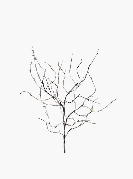 39" Lighted Branch 96 White Lights | The Style Edit Collective