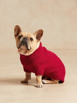 Cable Dog Sweater | Banana Republic (US)