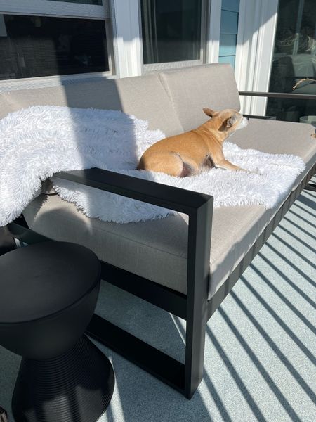 Patio furniture so nice even dogs can’t get enough of it! 

Patio furniture, outdoor patio couch, spring furniture, summer furniture

#LTKFind #LTKhome #LTKSeasonal