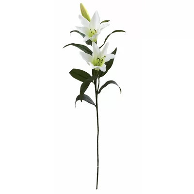 Lilies Stem | Wayfair North America