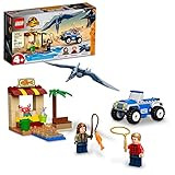 LEGO Jurassic World Pteranodon Chase 76943 Dinosaur Toy Set with 2 Minifigures and Buggy Car, Gif... | Amazon (US)