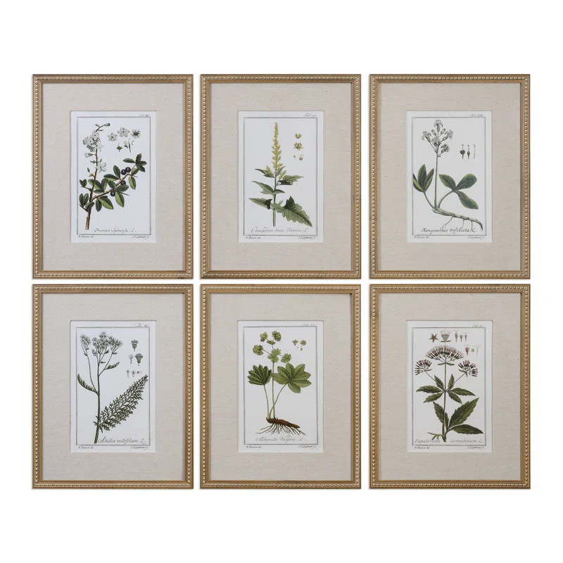 'Floral Botanical Study' by Grace Feyock - 6 Piece Picture Frame Graphic Art Print Set on Paper | Wayfair North America