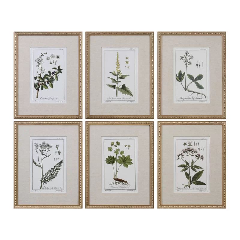 'Floral Botanical Study' by Grace Feyock - 6 Piece Picture Frame Graphic Art Print Set on Paper | Wayfair North America