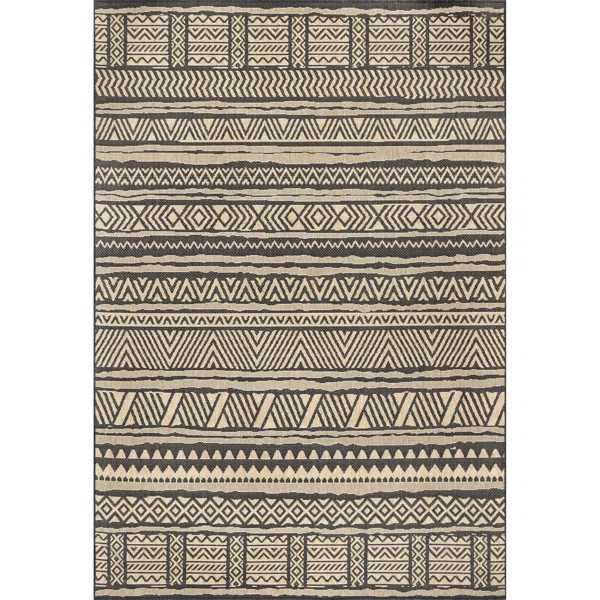 Raya Chevron Indoor / Outdoor Area Rug in Charcoal/Brown | Wayfair North America