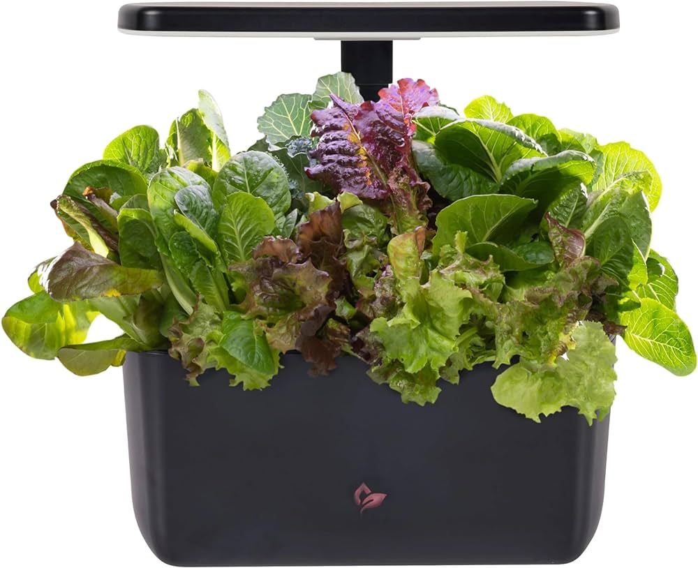 AeroGarden Harvest 2.0, Indoor Garden Hydroponic System with LED Grow Light, Holds up to 6 AeroGa... | Amazon (US)