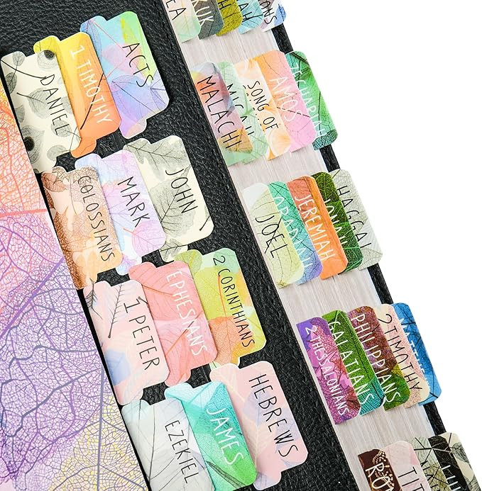 Bible Tabs, 80 Laminated Bible Book Tabs, Bible Journaling Supplies, Bible Tabs for Women & Men S... | Amazon (US)