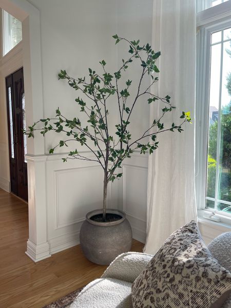 My tree is on sale! The planter is available in the smaller size. Love the minimal look of this tree!

Faux plant, faux tree, minimal look, living room, outdoor planter, planter, indoor planter, indoor plant, 

#LTKFind #LTKsalealert #LTKhome