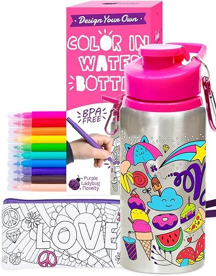 Purple Ladybug Color Your Own Water Bottle for Girls Craft Kit with 10 Bright Markers, Rhinestone... | Amazon (US)