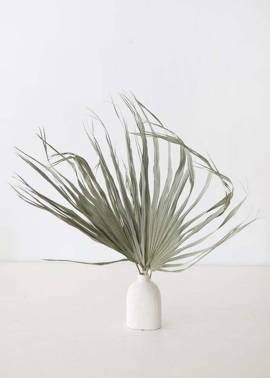 Bundle of 5 Large Natural Fan Palms - 26-30 | Afloral (US)