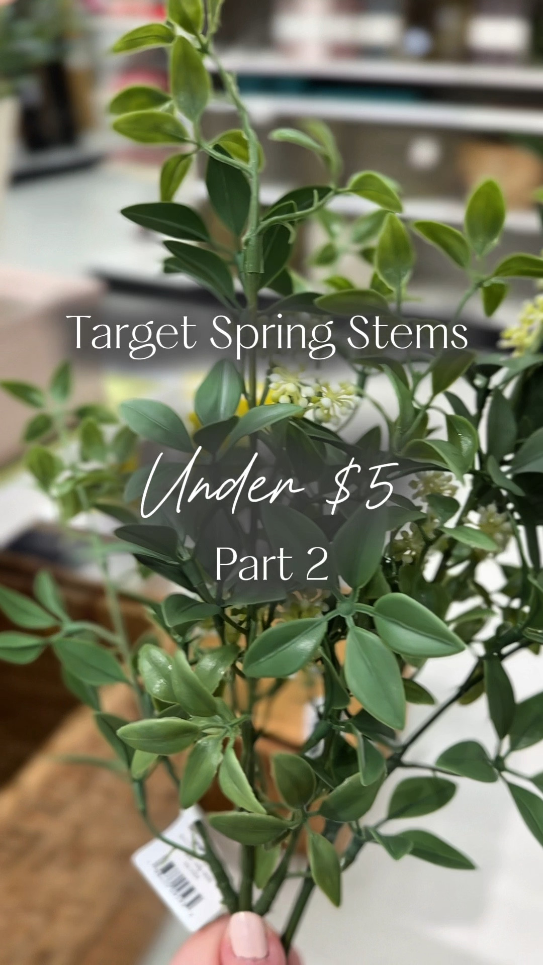 
Real flowers? Too expensive. These $5 faux flowers from Target? Gorgeous and affordable! They bring a realistic, designer touch to your home without the hassle. No watering, no wilting—just perfect blooms all year long. Great for dining table centerpieces, bedroom decor, and elegant shelf styling! Who else loves faux floral arrangements? 

#TargetHome #BudgetHomeDecor #FauxFlorals #fakeflowers #affordableflowers #homerefresh

Target home decor, fake flowers, floral arrangements, faux flowers

#LTKFindsUnder50 #LTKWatchNow #LTKHome