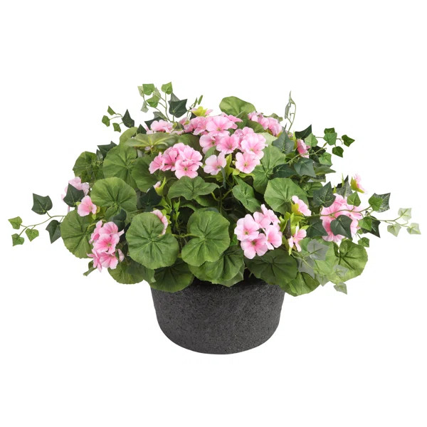 Adjustable Height Pink Geranium Urn Filler | Wayfair North America