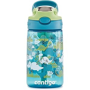 Contigo Kids Water Bottle with Redesigned AUTOSPOUT Straw, 14 oz., Dino | Amazon (US)