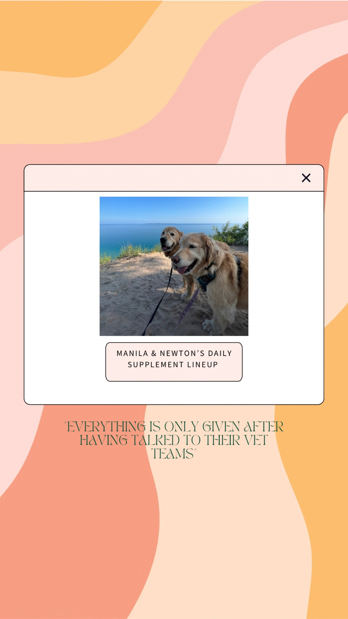 Supplements to help your dog stay happy and healthy! 

#LTKGiftGuide #LTKActive #LTKfamily