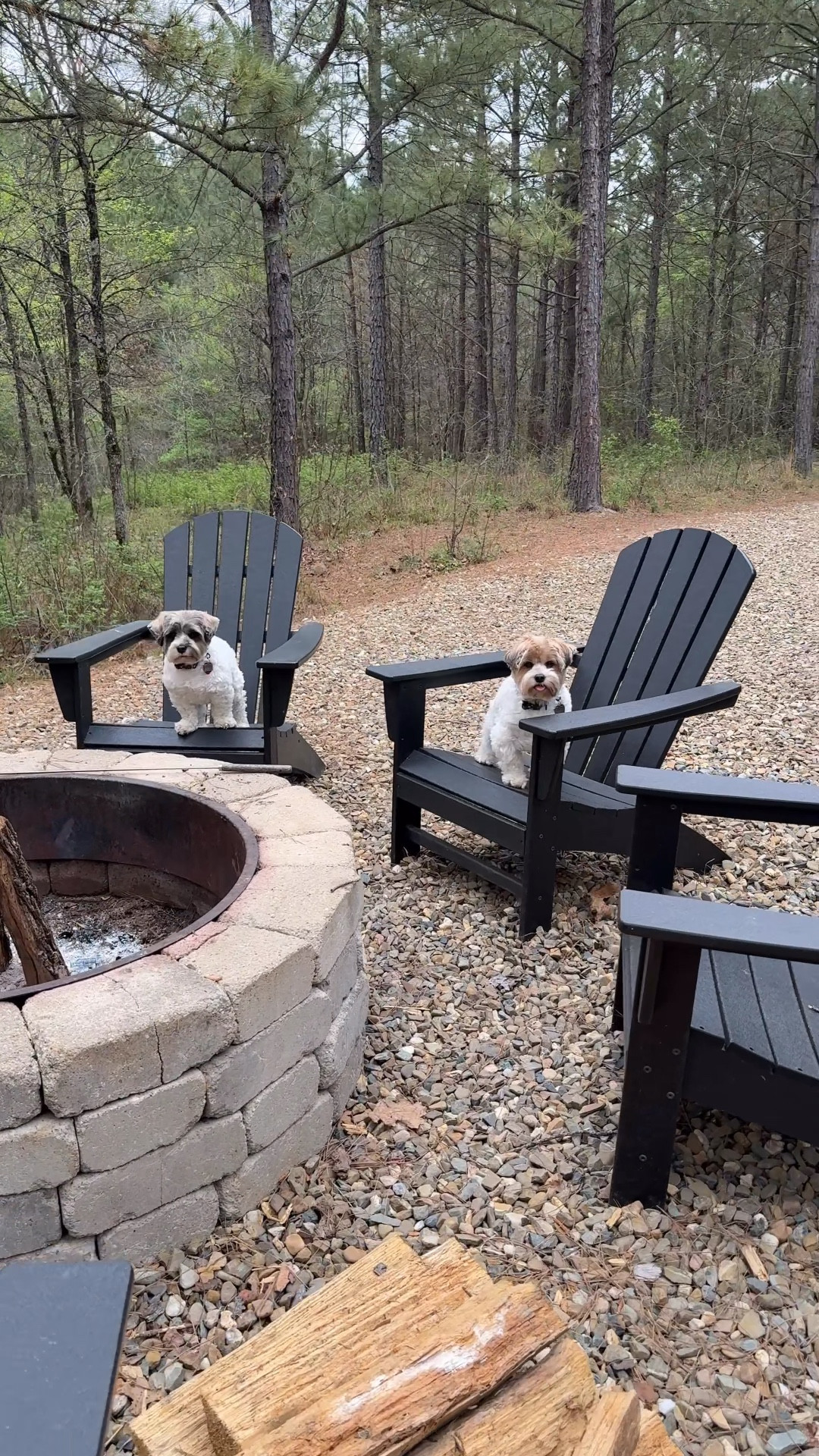 My little BFFs were watching me get everything prepped for this evening. I am aways so surprised that they love sitting with us around the fire at night! These chairs are Polywood, and they are so comfy and hold up amazing to being outside. 🖤

cabin outdoor furniture backyard porch patio curated collected style home decor transitional traditional modern rustic vacation STR amazon creator favorites wayfair

#LTKOver40 #LTKdayinmylife #LTKHome
