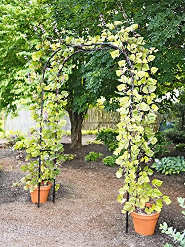 Gardener's Supply Company Titan Arch Arbor Garden Trellis | Sturdy Tall Garden Arch Plant Support for Climbing Plants, Vines and Flowers | Elegant Wedding Entryway & Outdoor Lawn Tower | 96”H x 59”W | Amazon (US)