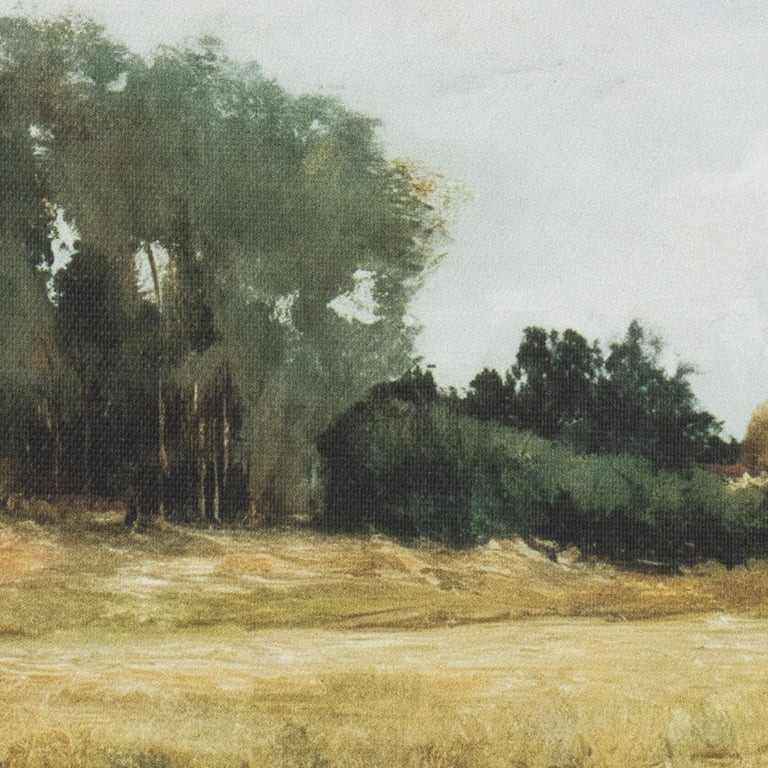 My Texas House Open Meadow Landscap Framed Art 16x12 | Walmart (US)