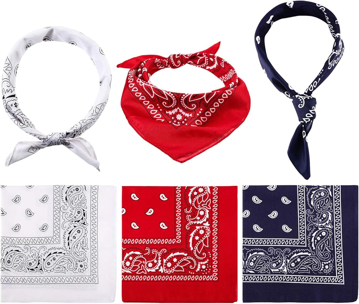 Blulu 6 Pieces Paisley Bandanas Assorted Cowboy Bandanas Unisex Novelty Print Head Wrap Scarf Wri... | Amazon (US)
