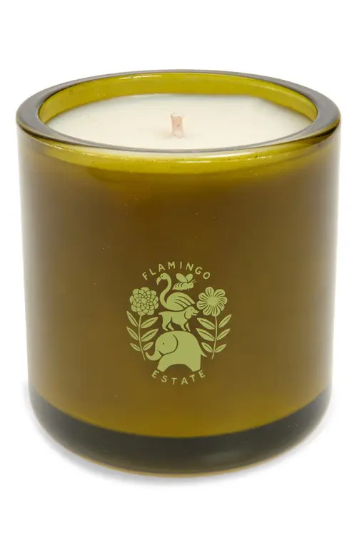 FLAMINGO ESTATE Roma Heirloom Tomato Candle in Green at Nordstrom | Nordstrom