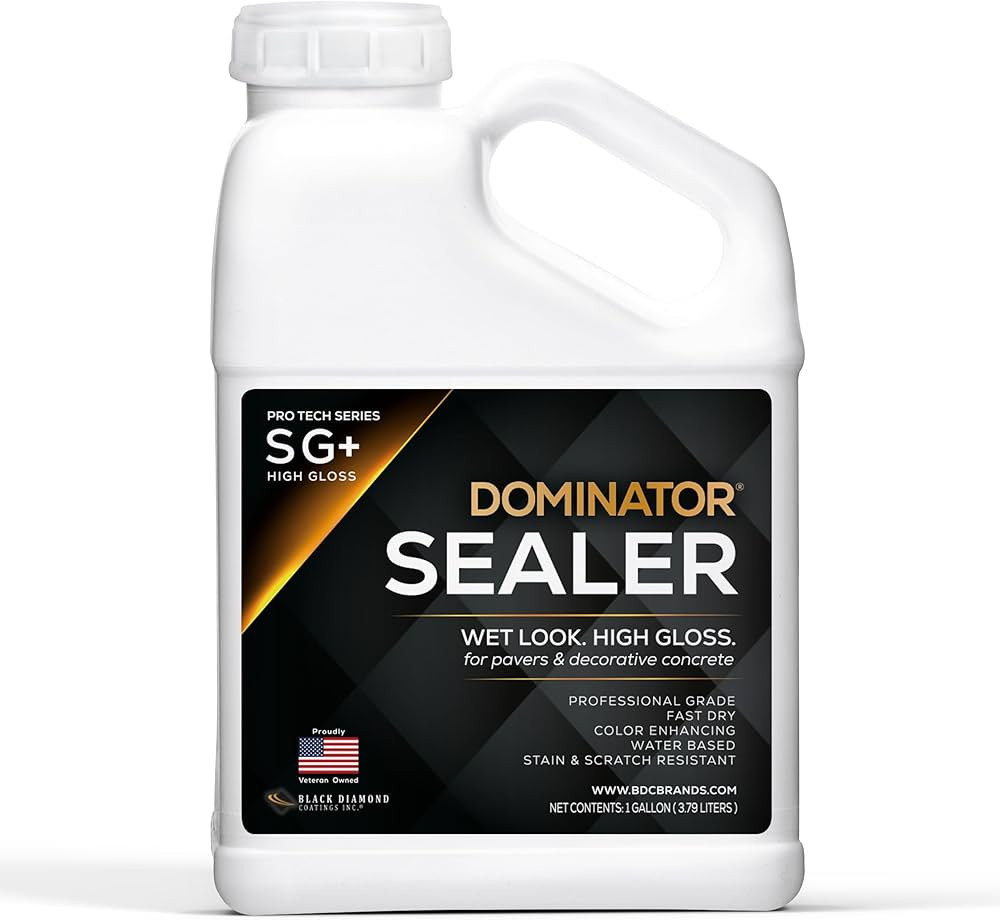 1 Gal. DOMINATOR SG+ Clear Acrylic Sealer | High Gloss Concrete Paver Sealer | Wet Look, Color En... | Amazon (US)