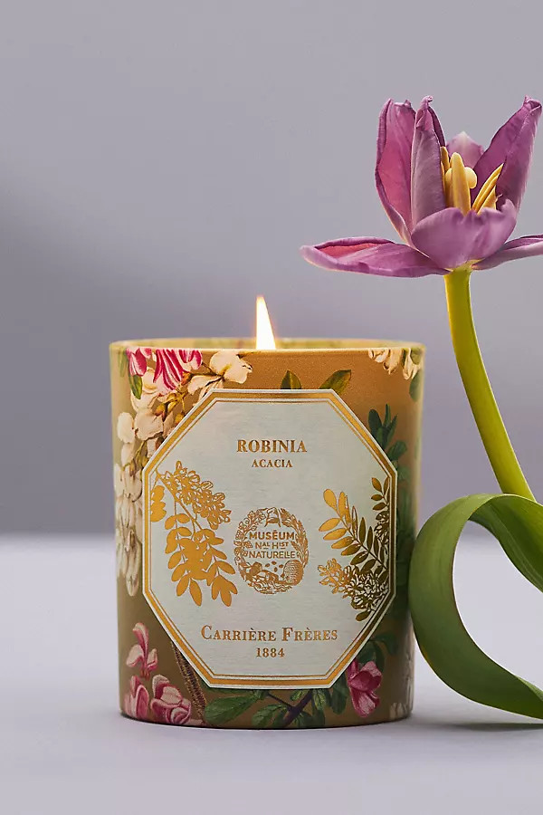 Carrière Frères Robinia Acacia Boxed Candle | Anthropologie (US)