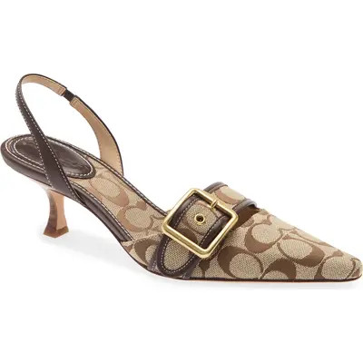 Margot Slingback Pointed Toe Pump | Nordstrom