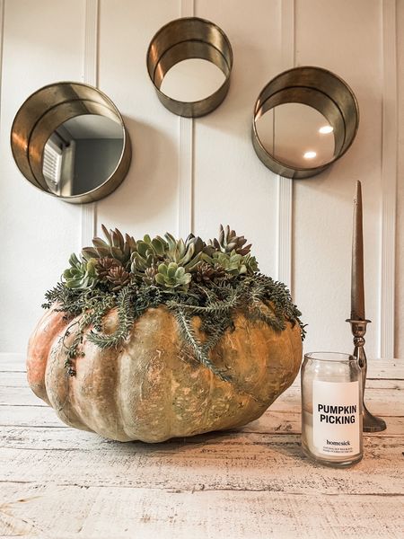 Crisp air, warm blankets and delightful scents ... it's time to break out all the cozy fall diy's and home decor pieces. My first fall pumpkin centerpiece DIY

#LTKSeasonal #LTKunder50 #LTKhome