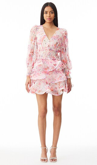 Lovebird Dress in Multi | Revolve Clothing (Global)