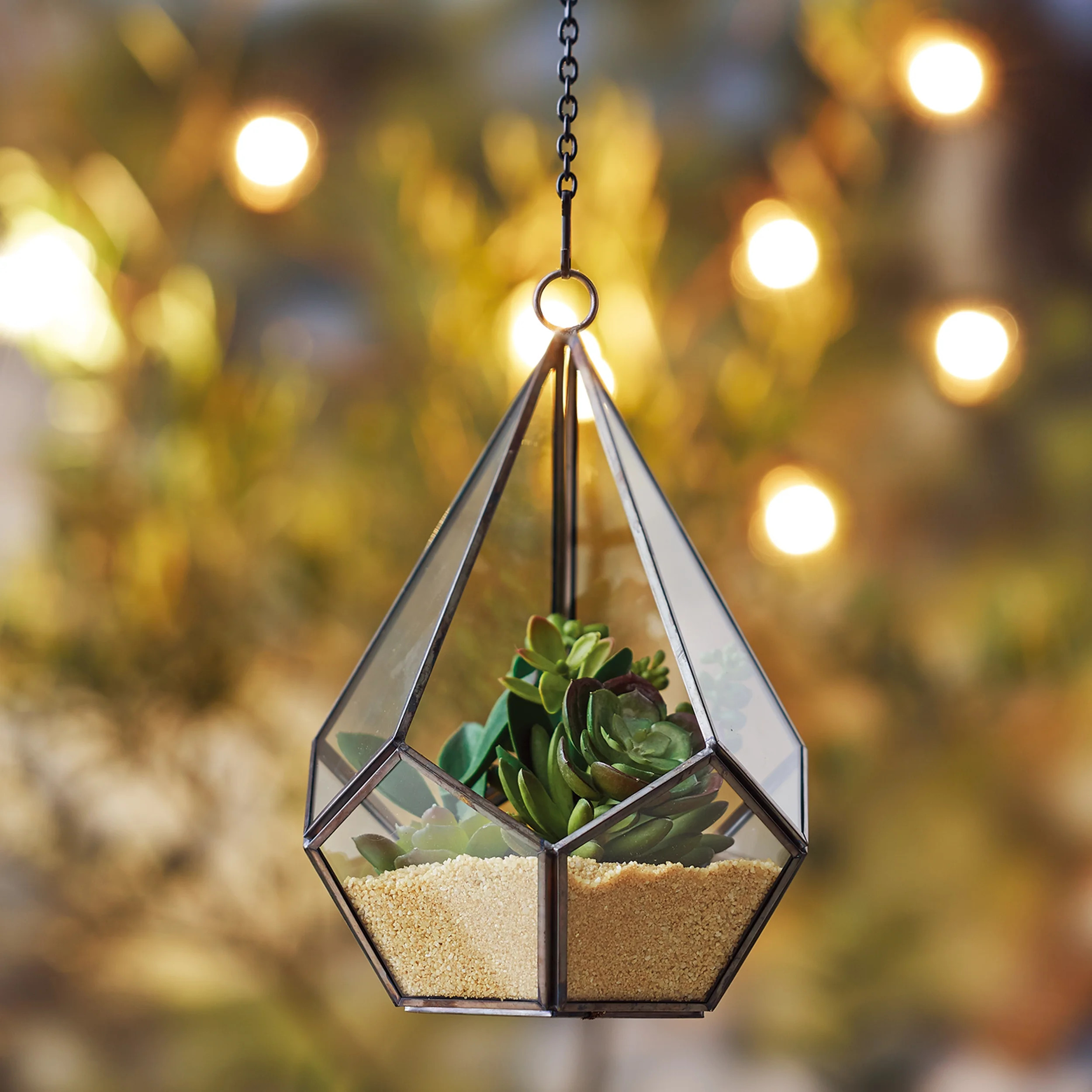 Better Homes & Gardens Metal and Glass Hanging Terrarium, 6.2 in Dia x 8.9 in H | Walmart (US)