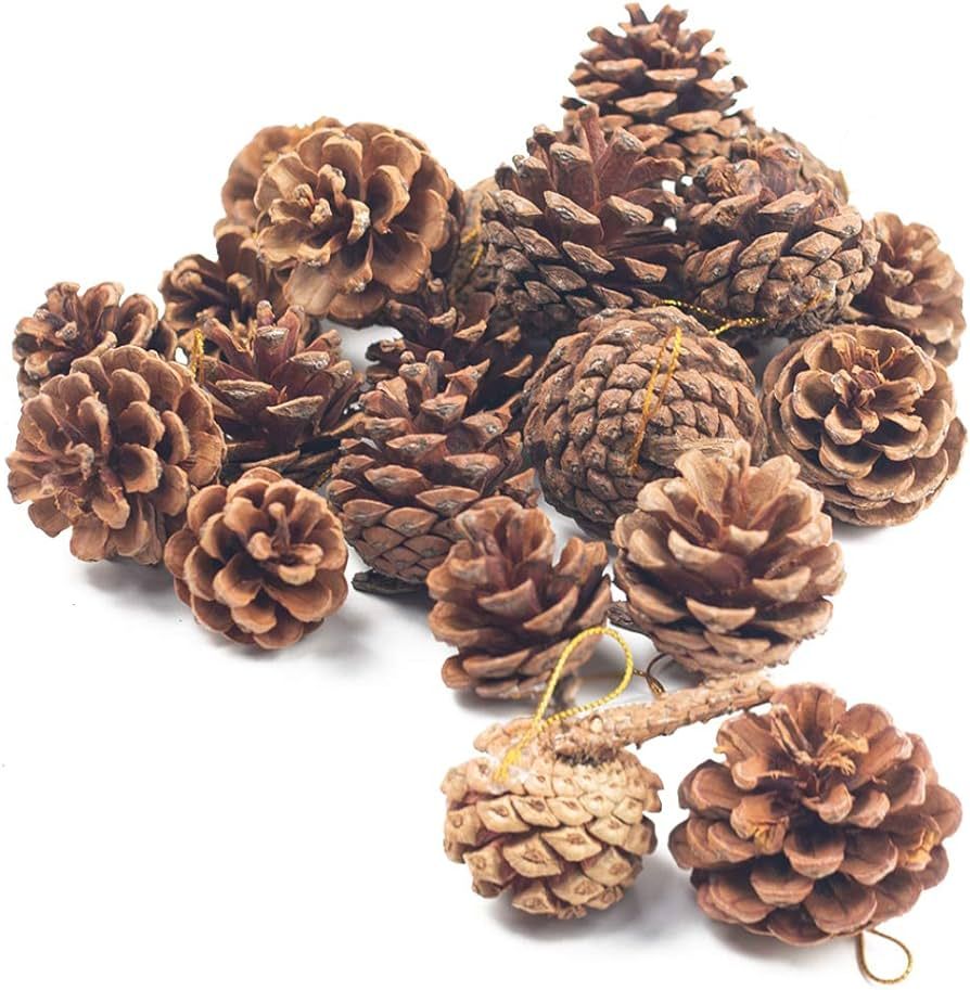 JOHOUSE Natural Pine Cones, Christmas Rustic Pinecones Fall Garland Halloween Thanksgiving Decoratio | Amazon (US)