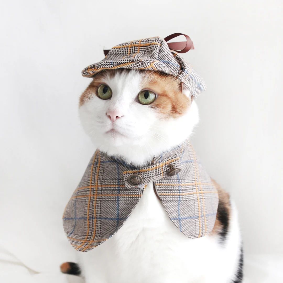 Sherlock Holmes Detective Cape Hat Pet Cat Dog Manteau Cloths - Etsy | Etsy (US)
