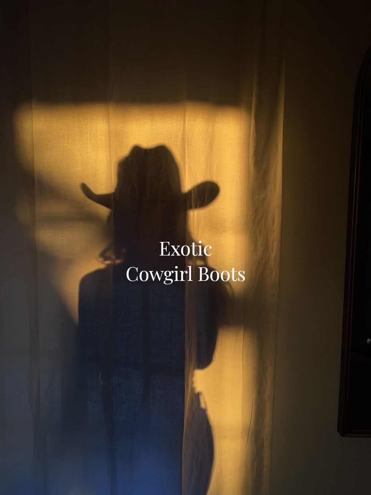 #LTKShoeCrush #LTKWatchNow #LTKStyleTip