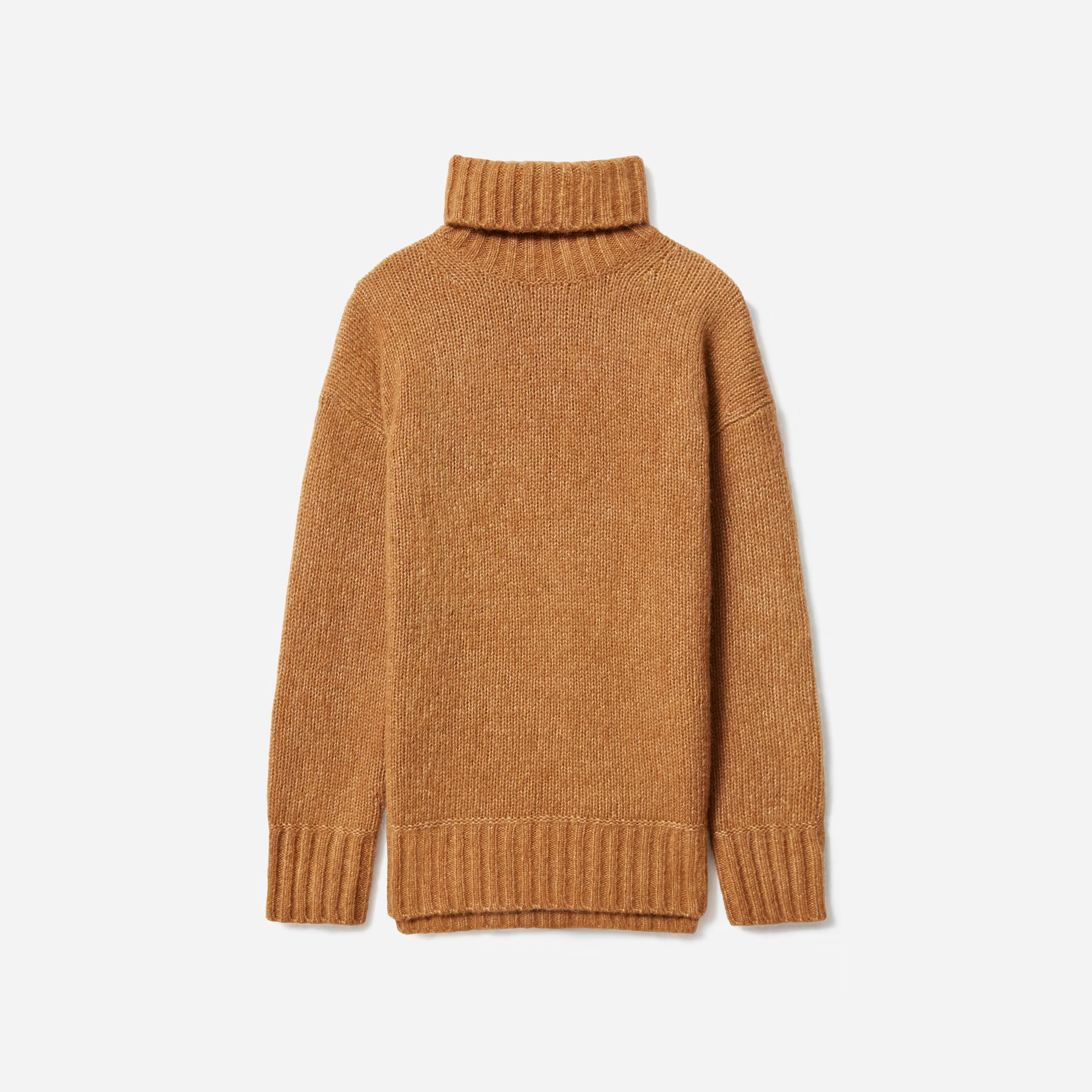 The Cloud Turtleneck | Everlane