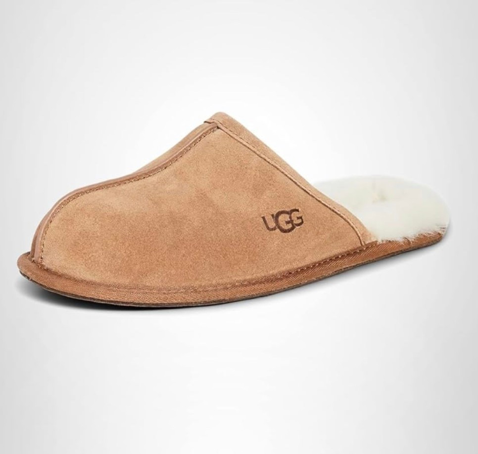 Ugg home slippers for men