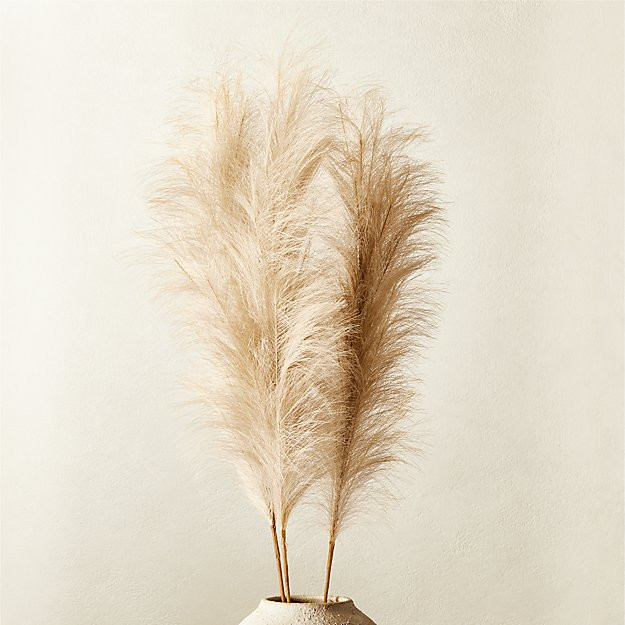 Faux Pampas Grass Ivory Stem + Reviews | CB2 | CB2