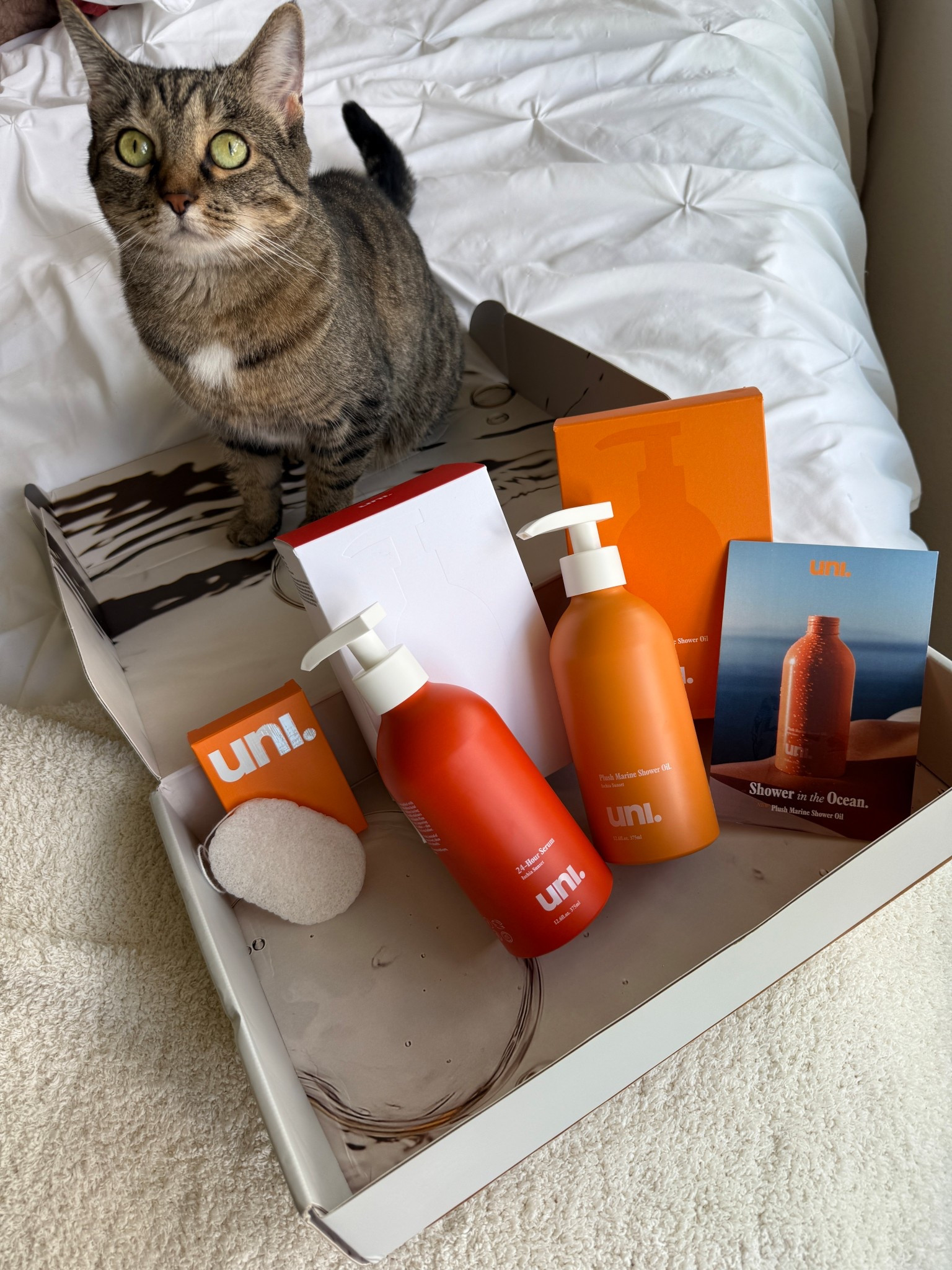 Obsessed with uni’s newest body launch 🤍
This shower body oil + 24-hour body serum combo is everything if you love clean, non-toxic body care that works and smells incredible.

Both formulas are deeply hydrating, lightweight, and give your skin that soft, glowy, just-left-the-spa feel without any greasy residue.

If you’re building a clean body care routine, these are such good staples for everyday hydration and glow. Perfect for post-shower, before bed, or anytime your skin needs a little extra love ✨

Everything is linked here-sharing my favorite clean beauty body care finds 🤍

Keywords: clean body care, non toxic body care, clean beauty, body oil, shower body oil, body serum, hydrating body oil, clean skincare, body oil, glowy skin, natural body care, luxury clean beauty


#LTKBeauty #LTKselfcare #LTKSeasonal